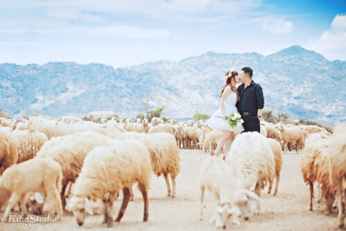Top 8 địa điểm chụp ảnh cưới hút hồn ở miền Trung - hình ảnh 8